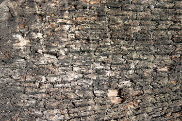 Similar image 993991