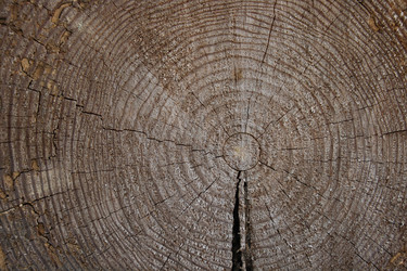 Similar image 994030