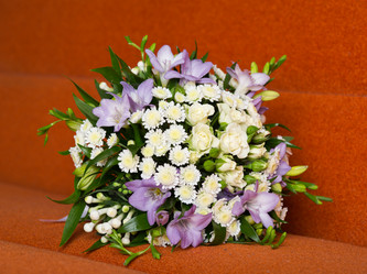 Similar image 994090