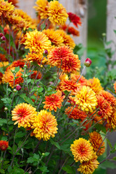 Similar image 994210