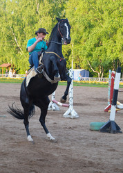 Similar image 994322