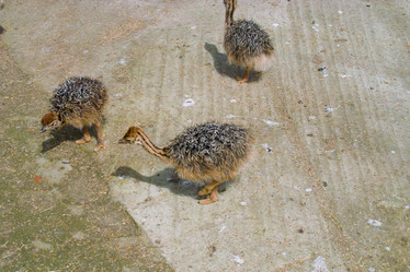 Similar image 994720