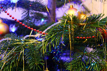 Similar image 994733