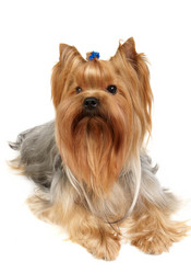 Similar image 994805