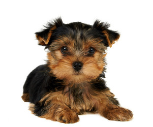 Similar image 994808