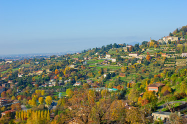 Similar image 994847