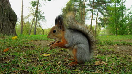 Similar image 994964