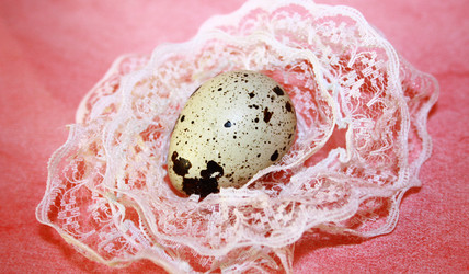 Similar image 995020