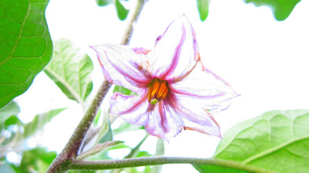 Similar image 995022