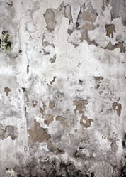 Similar image 995034