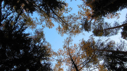 Similar image 995046