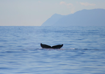 Similar image 995096