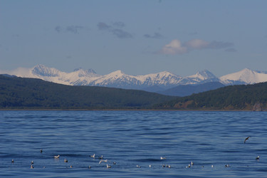 Similar image 995130