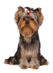 Similar image 995149