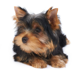 Similar image 995153