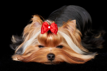 Similar image 995163