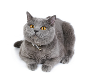 Similar image 995171