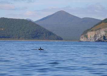 Similar image 995177