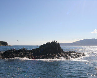 Similar image 995193