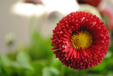 Similar image 995227