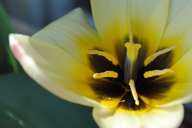 Similar image 995232