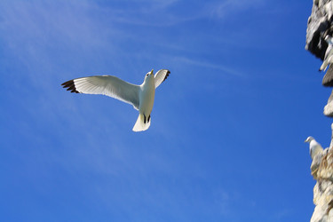 Similar image 995233