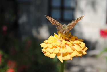 Similar image 995236