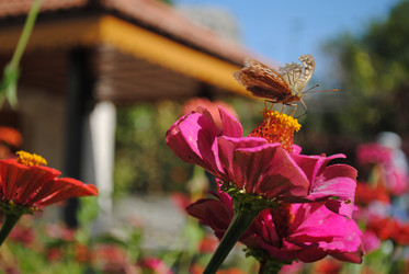 Similar image 995251