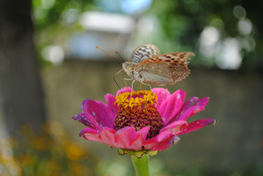 Similar image 995255