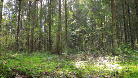 Similar image 995271