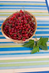 Similar image 995278