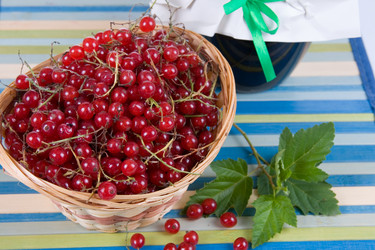 Similar image 995285