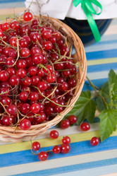 Similar image 995288