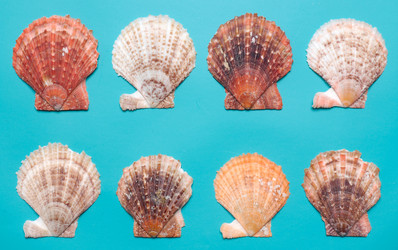 Similar image 995566