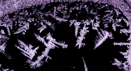 Similar image 995569