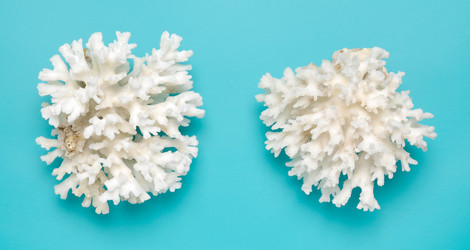 Similar image 995600