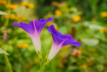 Similar image 995623