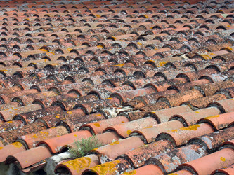 Similar image 995647