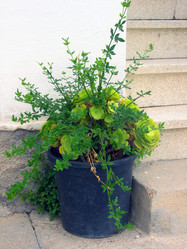 Similar image 995664