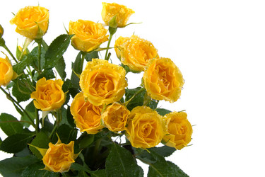 Similar image 995677