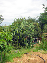 Similar image 995679