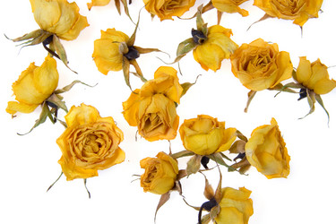 Similar image 995681