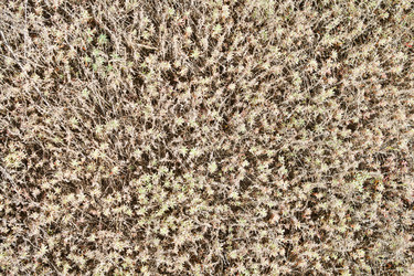 Similar image 995682