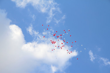 Similar image 995727