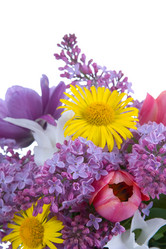 Similar image 995744