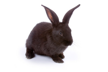 Similar image 995748