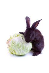 Similar image 995750