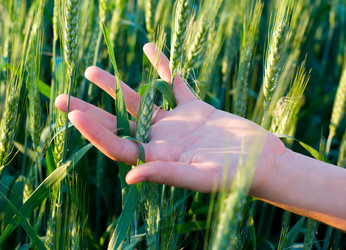 Similar image 995778