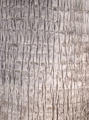 Similar image 995801