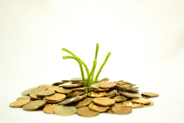 Similar image 995842